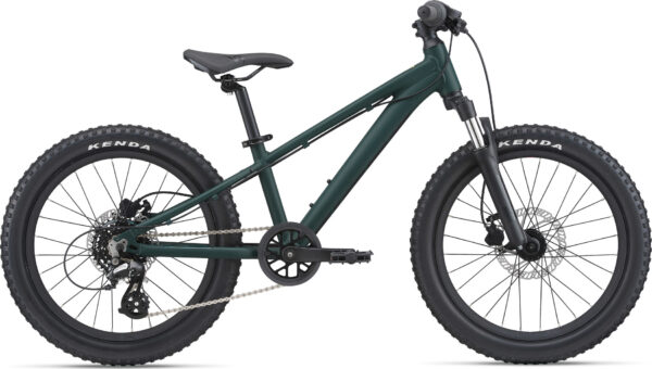 Giant STP 20"