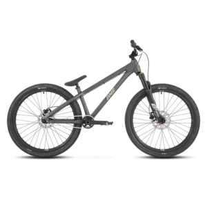 DMR Rhythm Expert